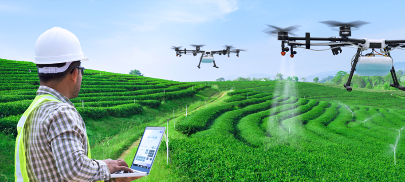 GIS in Agriculture as the Key to Effective Decision-Making - 8
